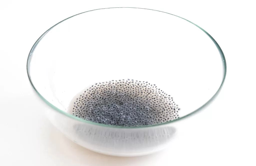 Blooming basil seeds in a bowl after 15 minutes of soaking