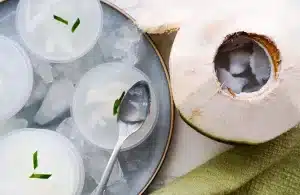 Top view of Coconut Jelly in a Coconut Shell and Small Containers, with crushed ice around it