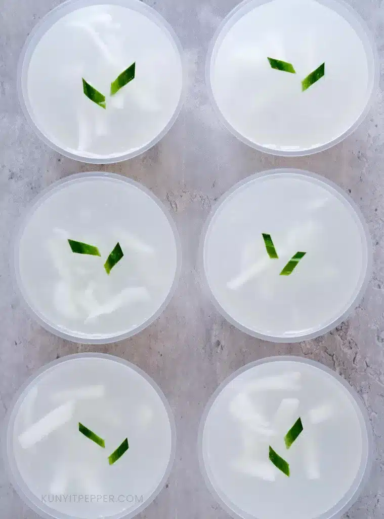 Coconut jelly agar-agar in a containers from top views