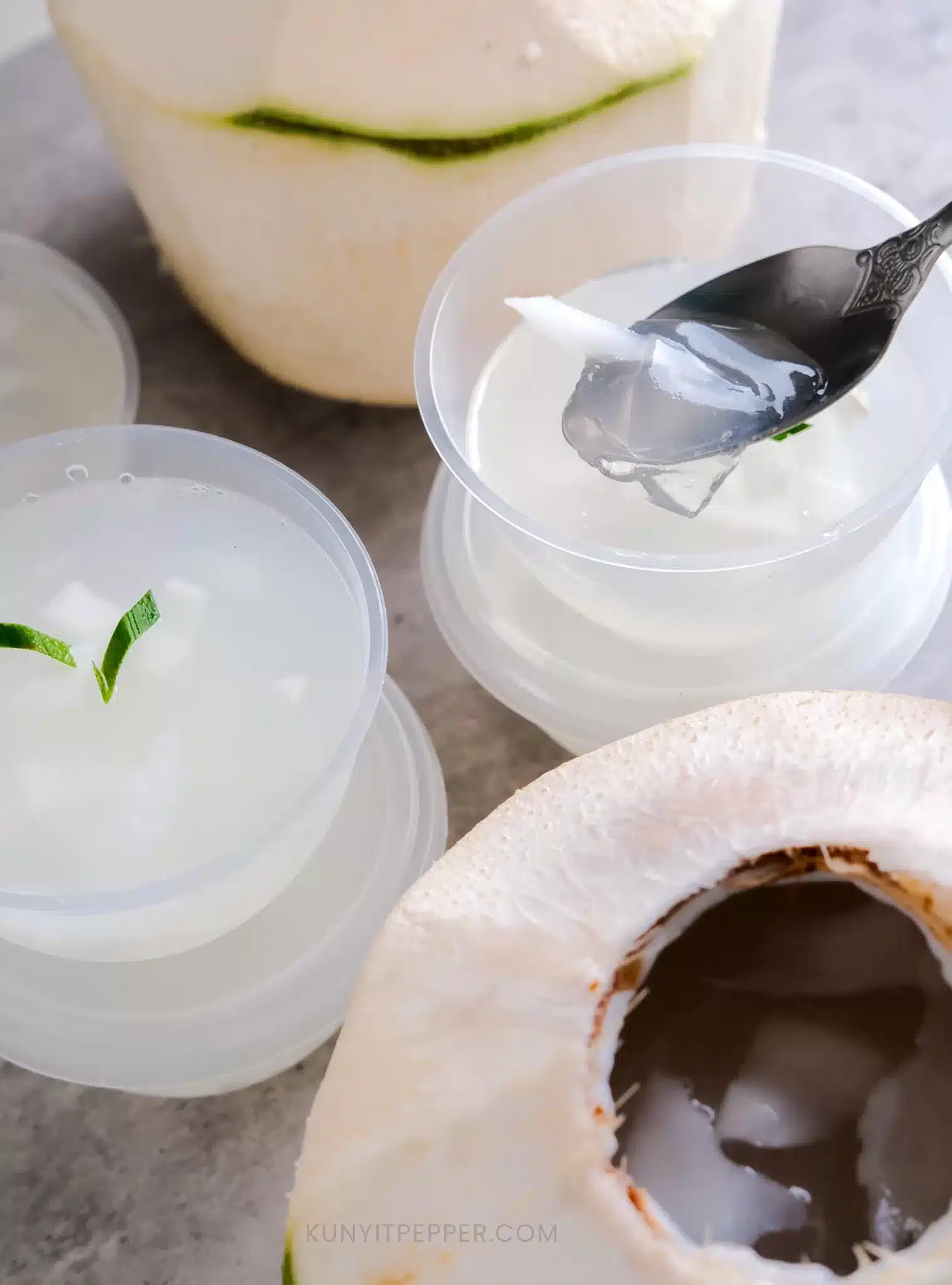 Clear Coconut Jelly Agar-Agar