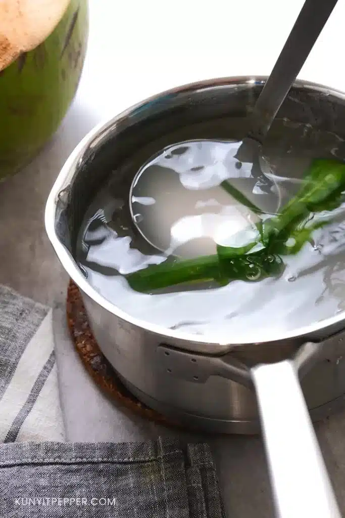 Stirring Coconut Water and Dissolved Agar-Agar in a Pot