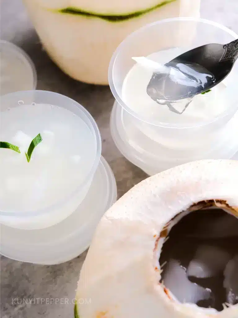 Spooning Coconut Jelly Agar-Agar