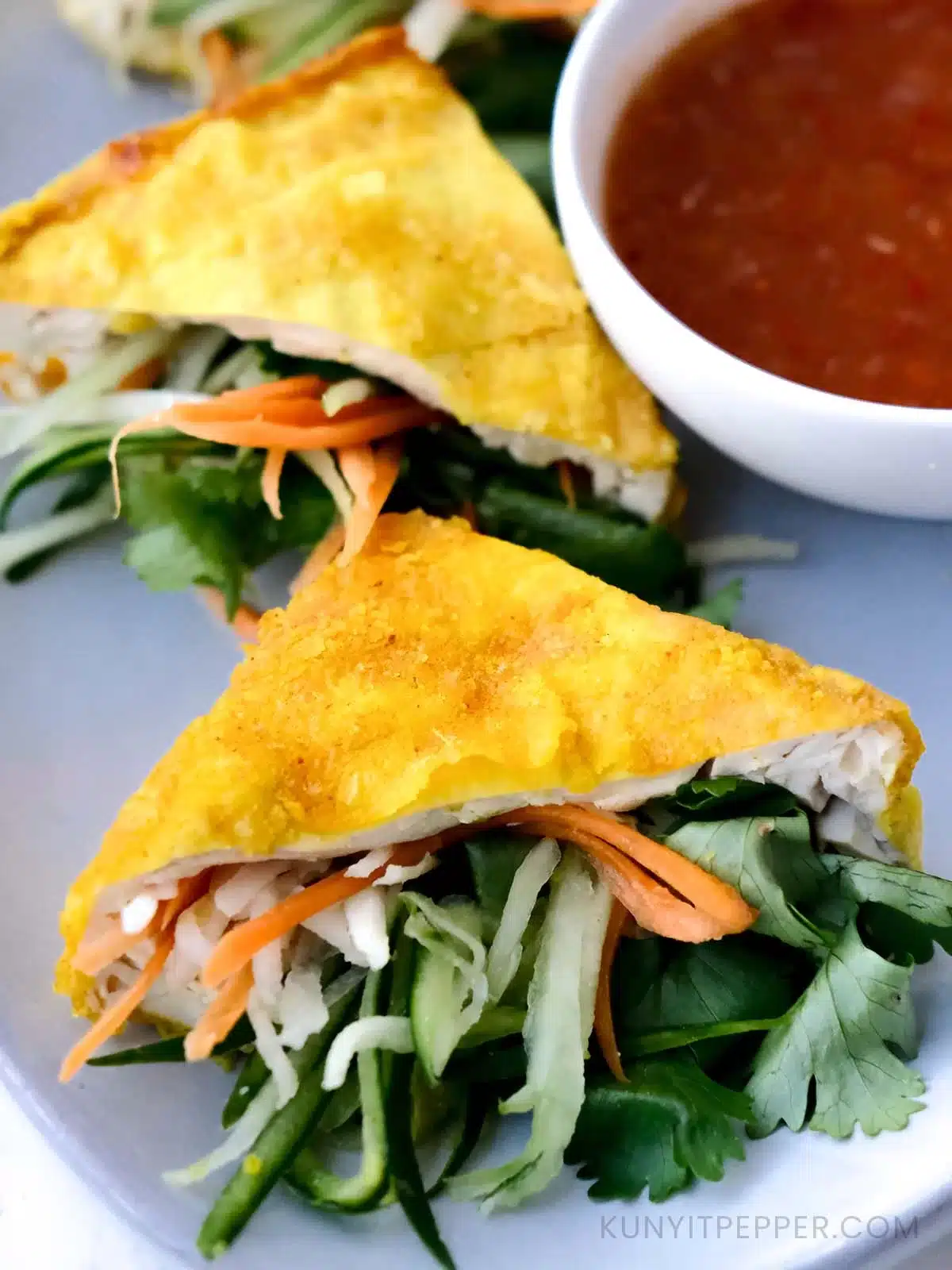 Vegetable Stuffed Tofu