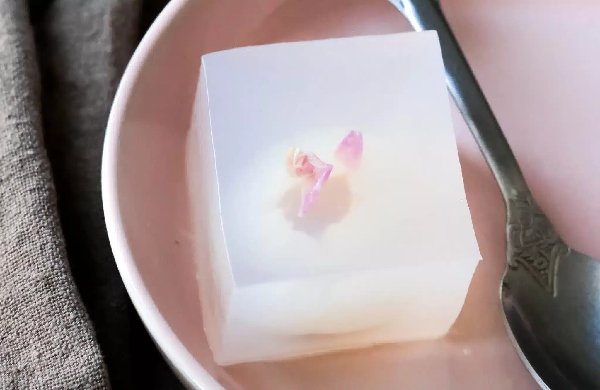 Lychee Coconut Jelly in Cube